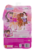 Barbie Dream Besties Doll - Renee